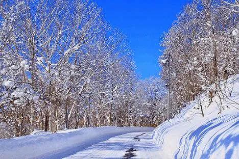 写メ日記 ここは 12/21(日) 11:31