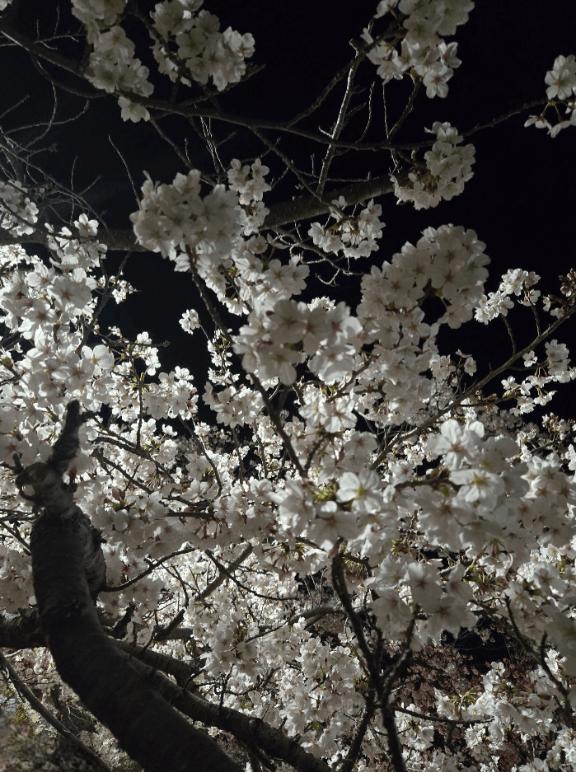 よしこ 写メ日記 4/4(金) 19:00