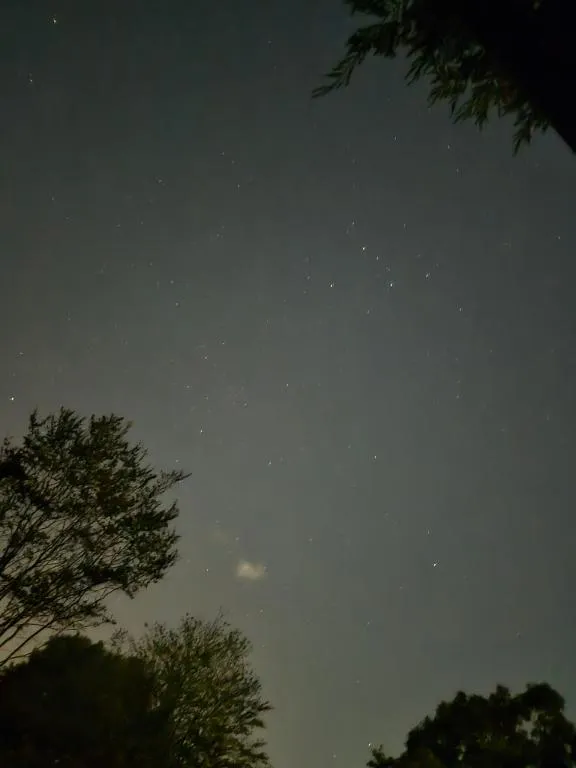 写メ日記 よしこ 12/13(土) 10:06