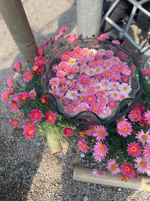 たると 写メ日記 9/10(水) 18:31