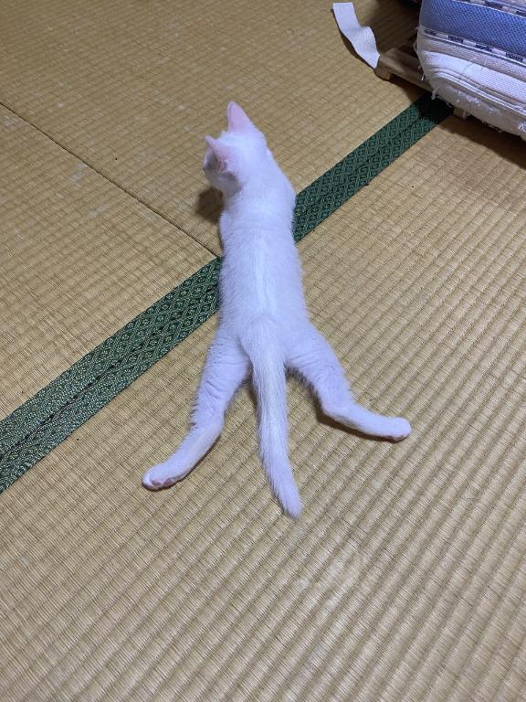 くいん 写メ日記 8/1(金) 17:34