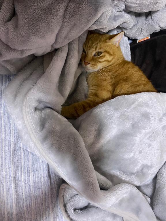 くいん 写メ日記 11/28(金) 16:38