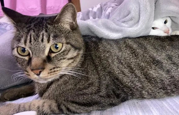 写メ日記 くいん 12/29(月) 18:41