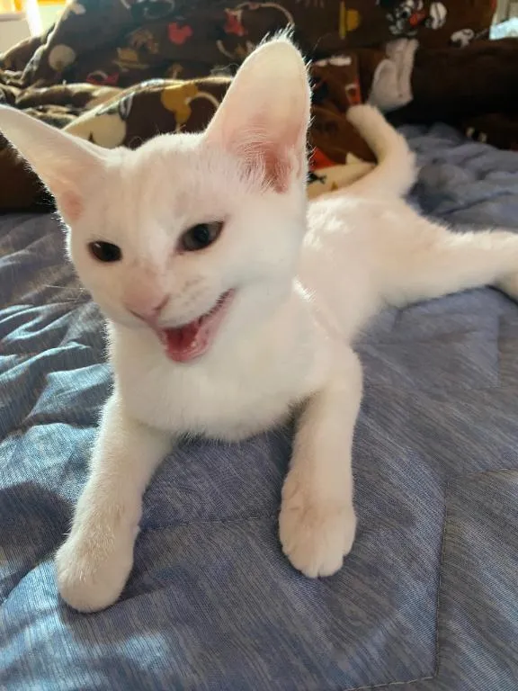 写メ日記 くいん 12/30(火) 00:40