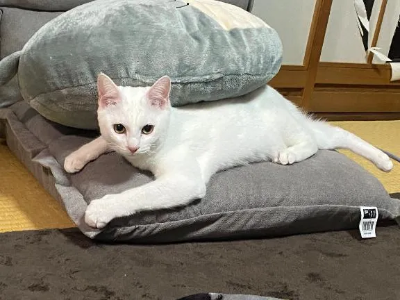 写メ日記 くいん 1/23(金) 16:47