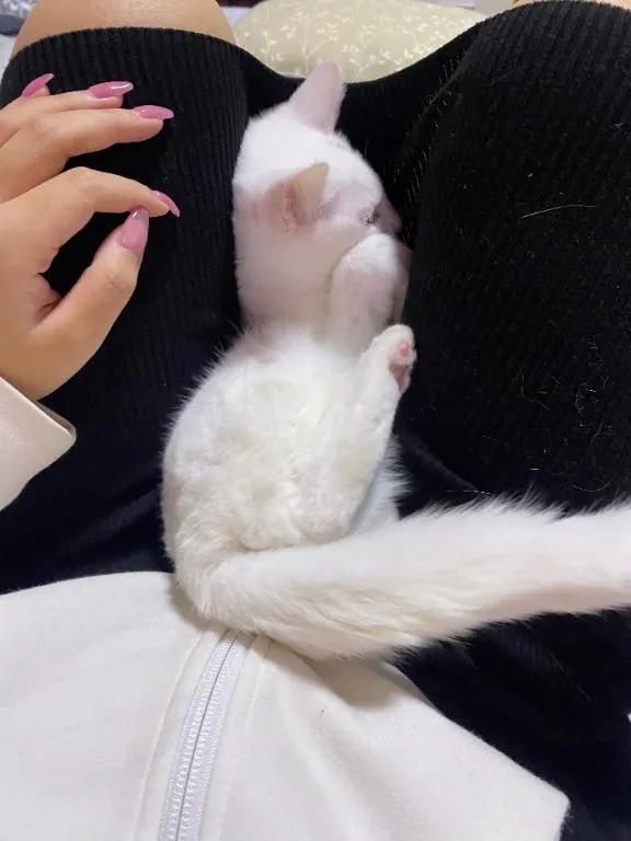 写メ日記 くいん 2/1(日) 21:37