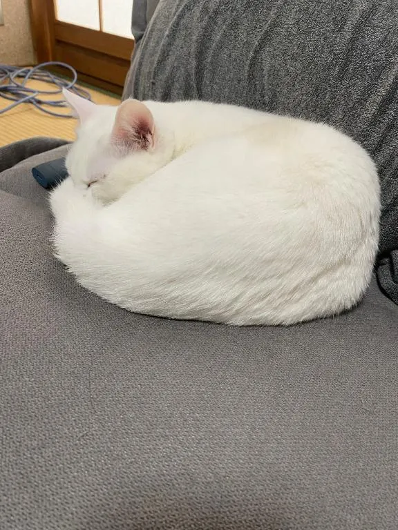 写メ日記 くいん 3/13(金) 18:54