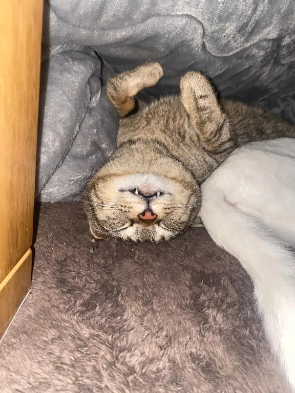 写メ日記 くいん 4/29(水) 04:40