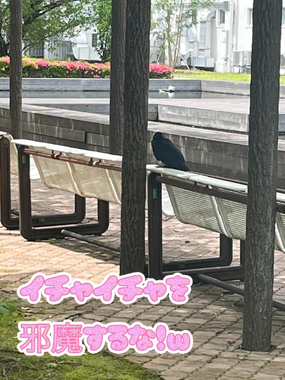 まりあん 写メ日記 5/31(土) 10:53