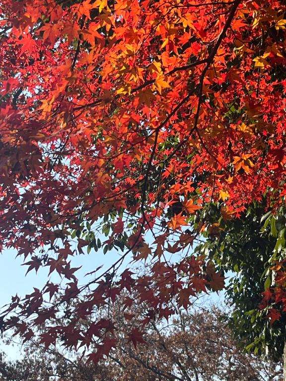 まりあん 写メ日記 12/3(水) 11:32