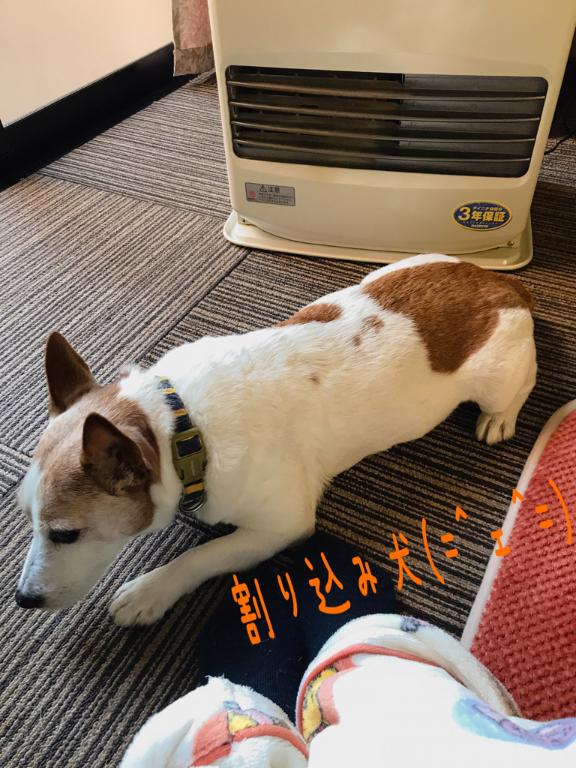 ちふゆ 写メ日記 12/1(月) 08:11