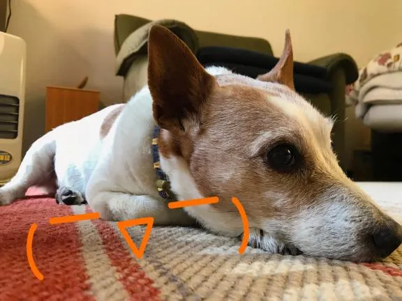 写メ日記 ちふゆ 1/16(金) 21:39