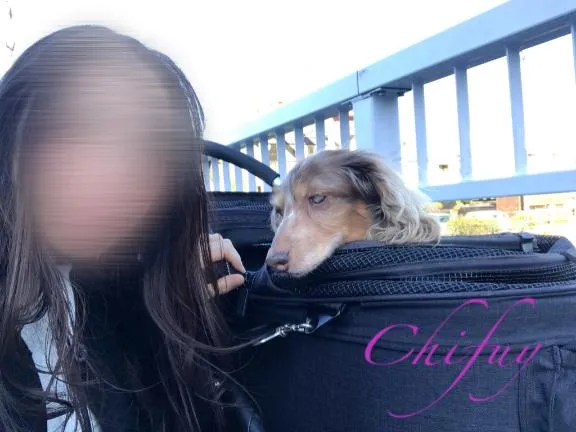 写メ日記 ちふゆ 1/19(月) 00:02