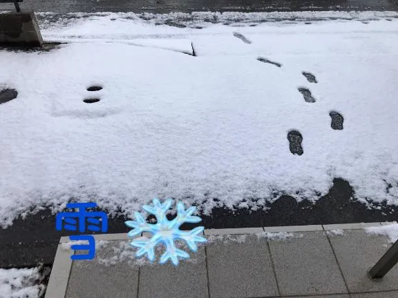 写メ日記 ちふゆ 1/25(日) 10:58