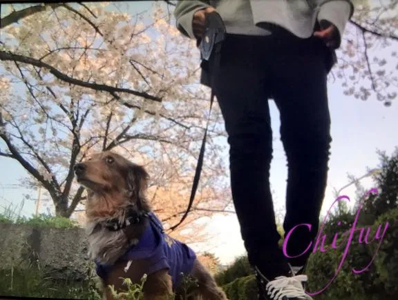 写メ日記 ちふゆ 3/25(水) 00:01