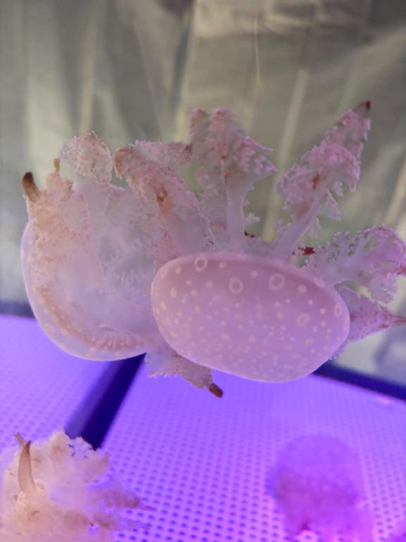 ことか 写メ日記 11/6(木) 21:17