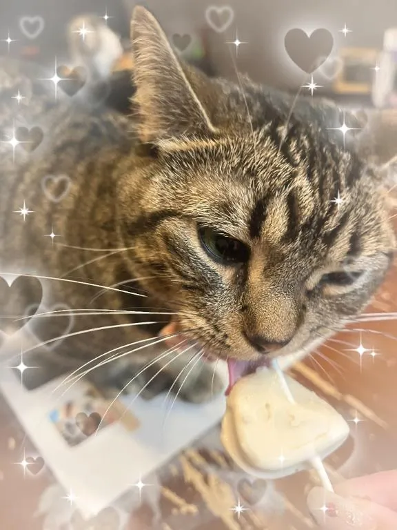 写メ日記 ゆみな 3/22(日) 23:47