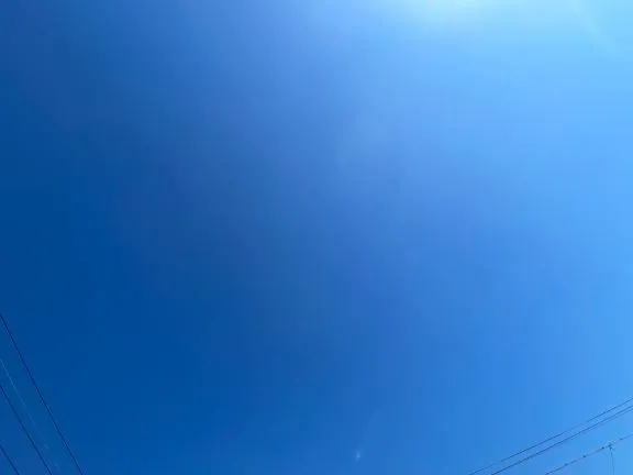 写メ日記 みずき 11/16(日) 11:48