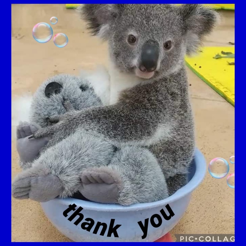 ありす 写メ日記 11/10(月) 15:15