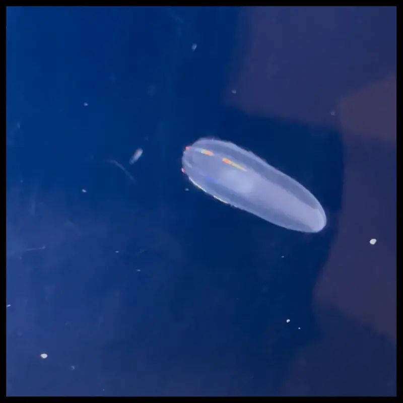 写メ日記 ありす 1/14(水) 09:46