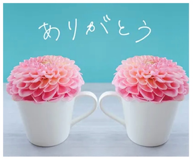 のあ 写メ日記 6/16(月) 09:15