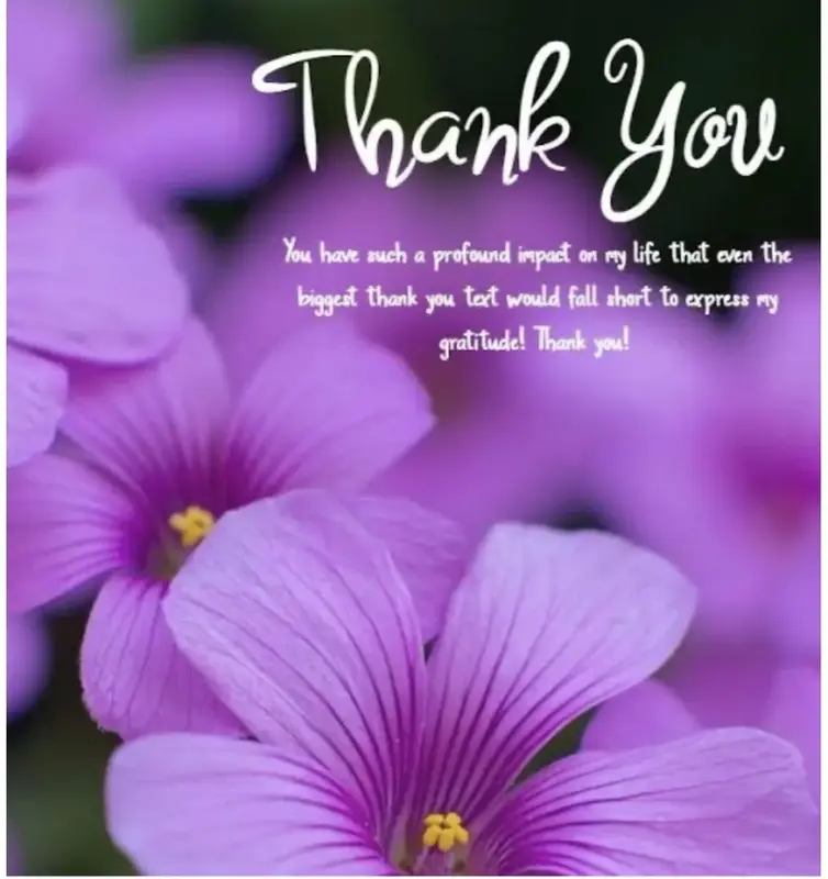 写メ日記 のあ 4/25(土) 16:19