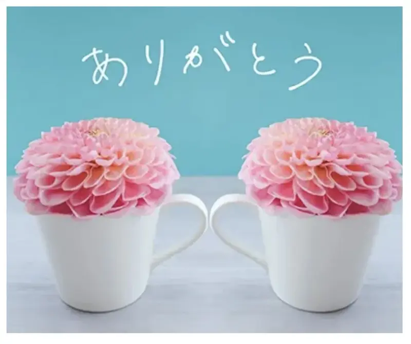 写メ日記 のあ 4/29(水) 14:48
