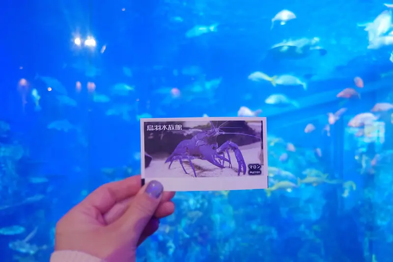 写メ日記 ほのか 3/31(火) 21:01