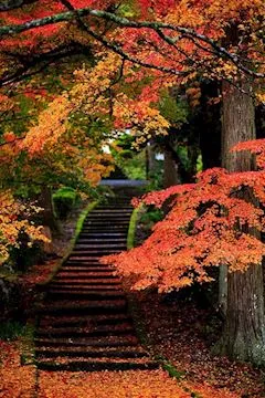 写メ日記 ともこ 12/7(日) 10:06