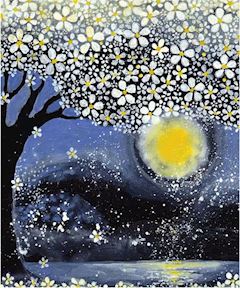 ともこ 写メ日記 12/9(火) 19:34