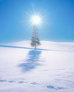 写メ日記 ともこ 2/5(木) 10:06