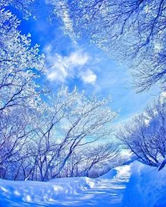 写メ日記 ともこ 2/6(金) 10:11