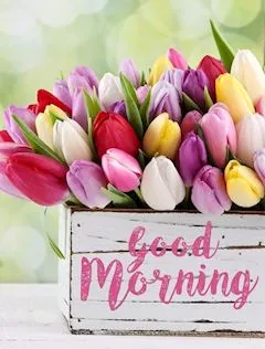 写メ日記 ともこ 4/8(水) 10:07