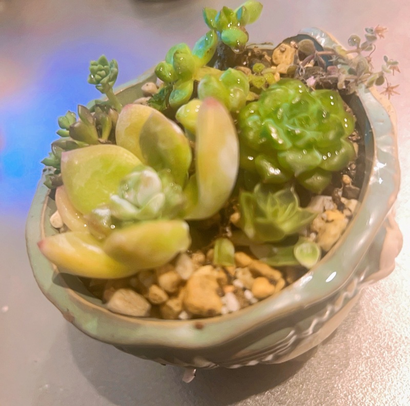 かなう 写メ日記 4/23(水) 22:14