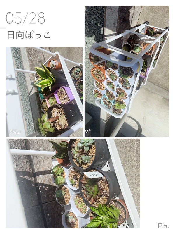 かなう 写メ日記 5/28(水) 08:48