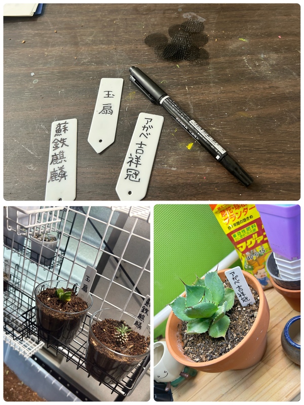 かなう 写メ日記 7/11(金) 15:04