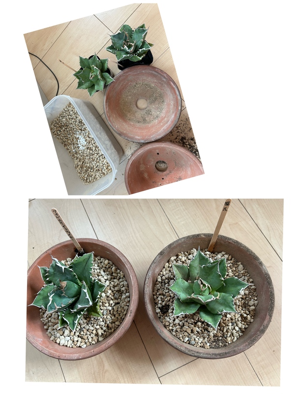 かなう 写メ日記 9/1(月) 11:08
