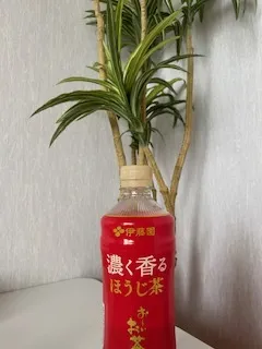 写メ日記 加納　しほ 5/22(金) 12:23