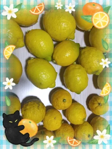 写メ日記 上杉あずさ 12/23(火) 10:58