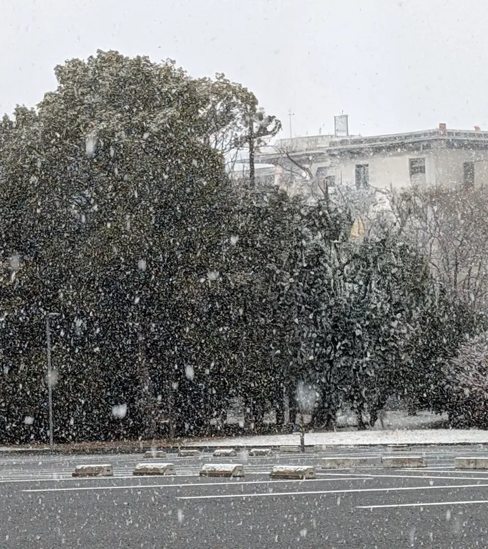 写メ日記 多田朱美 1/25(日) 11:40