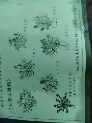 写メ日記 木佐貫あかね 1/7(水) 10:24