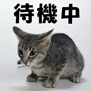 写メ日記 三上りこ 2/17(火) 14:08