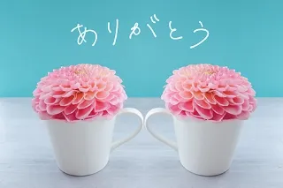 写メ日記 藤田ゆうか 10/9(金) 15:24