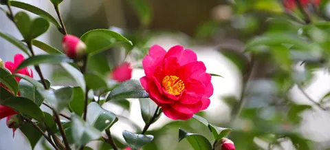 写メ日記 大野つばき 3/29(日) 11:42