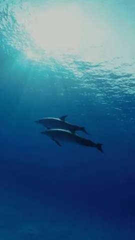 写メ日記 黒木さゆり 8/9(日) 08:20