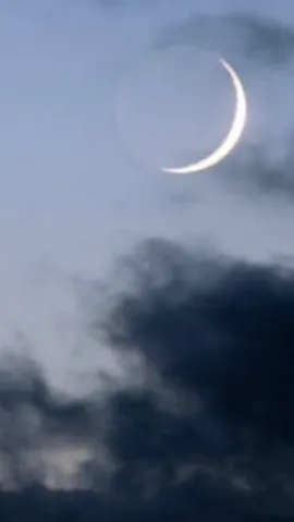 写メ日記 黒木さゆり 10/11(日) 20:20