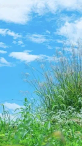 写メ日記 黒木さゆり 10/31(土) 10:40