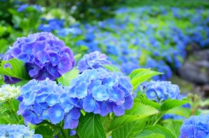 まなみ 写メ日記 6/6(金) 22:41