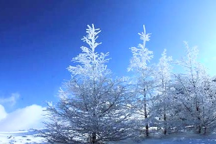 まなみ 写メ日記 12/4(木) 14:35