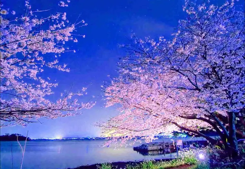 写メ日記 まなみ 4/5(日) 19:52